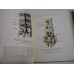 ATLAS DE ANATOMIE UMANA - SINELNIKOV - Volumele 1 si 2 - in limba spaniola